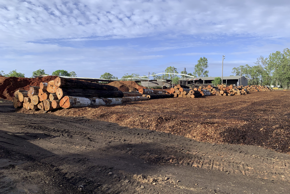 CQ Sawmilling Pty Ltd – Sawmilling Operation
